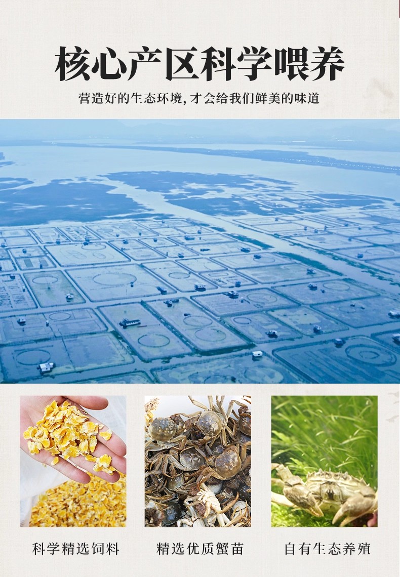 1761983514212888.jpg 21bac37dad8f49b6a3079acaadda4442_24.jpg